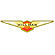 Hillman logo
